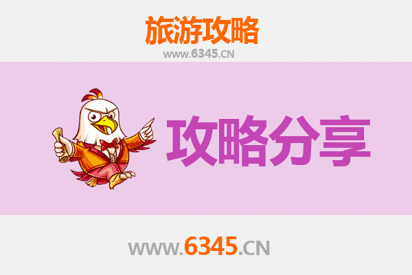 忻州宁武至湄洲岛旅游攻略：跟团还是自由行选择指南